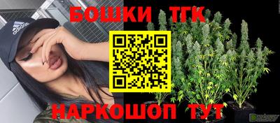 трава Кингисепп