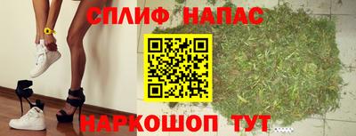трава Кингисепп
