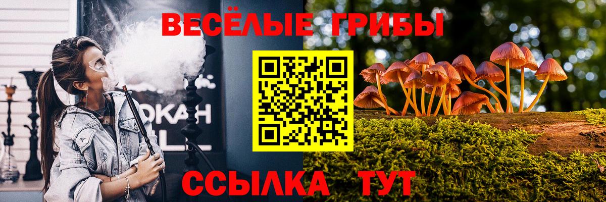 Костомукша  Псилоцибиновые грибы мухоморы  закладки  Вход с VPN 